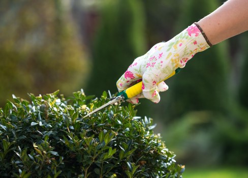 Transparent pricing for Gardeners Golders Green garden services