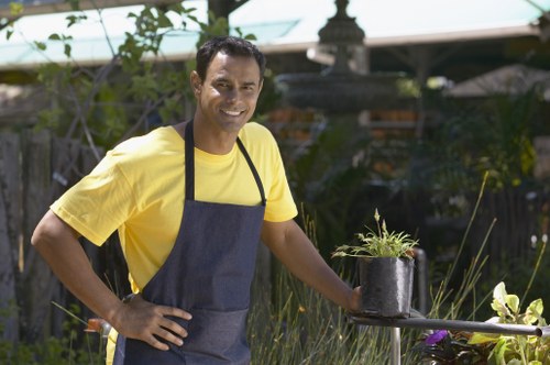 Professional gardening services maintaining a Golders Green garden