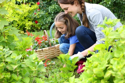 Professional pruning and crown maintenance in Golders Green
