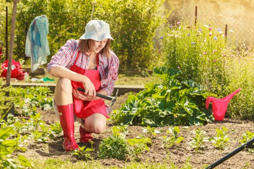 Illustration of ethical gardening work at Gardeners Golders Green