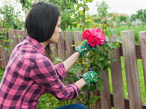 Garden maintenance liability and cancellation terms