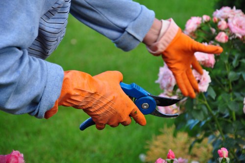 Formal handling of a gardening service concern