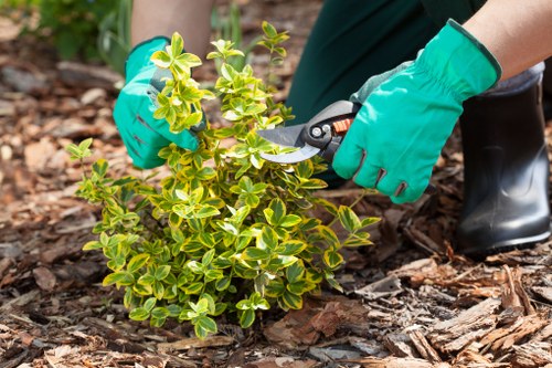 Garden restoration and landscaping work in Golders Green