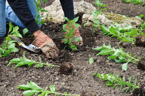 Gardener checking tools and machinery before use