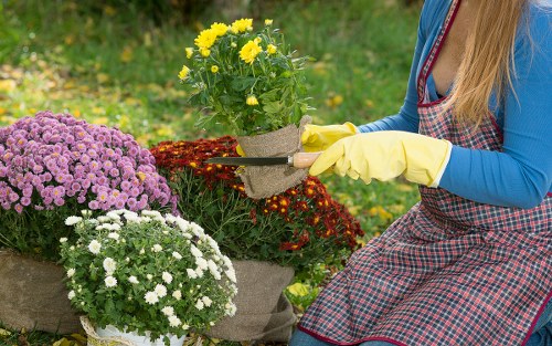 Staff training and safe gardening practices in Golders Green