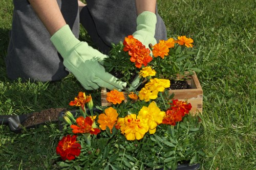 Seasonal hedge maintenance in a Golders Green property garden