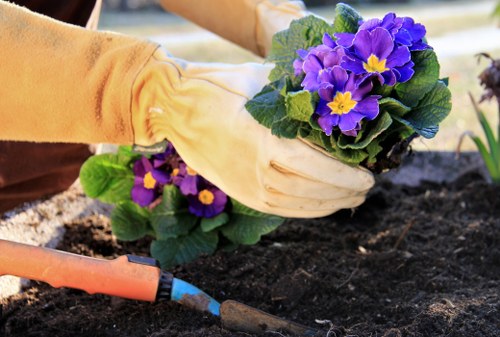 Golders Green garden maintenance with healthy planting