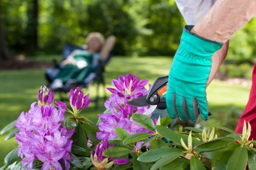 Patio maintenance and stain removal for Golders Green homes
