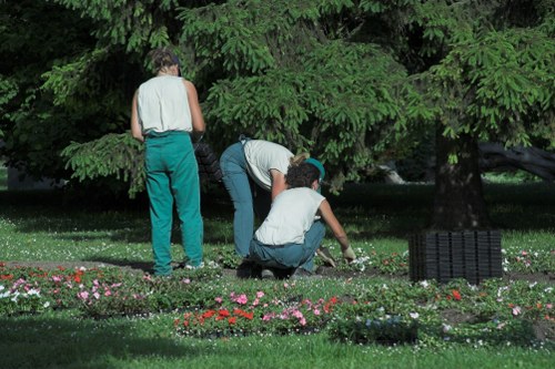 Seasonal planting and lawn maintenance by Gardeners Golders Green