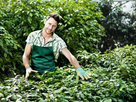 Cookie policy information for Gardeners Golders Green visitors