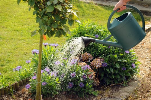 Seasonal lawn mowing in a Golders Green garden