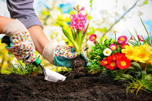 Professional garden care in Golders Green with leaf clearance and tidy pathways