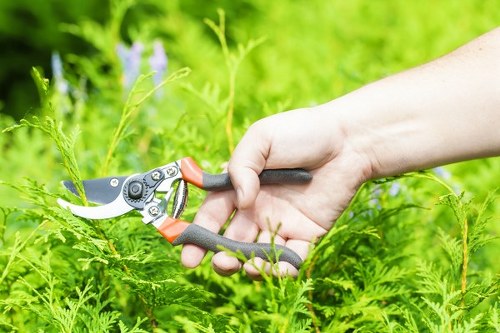 Professional garden care in Golders Green with structured planting