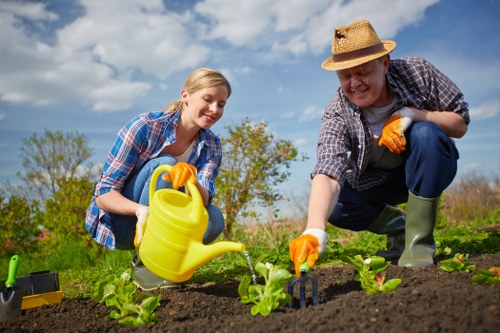 Local gardening professionals shaping a Golders Green garden