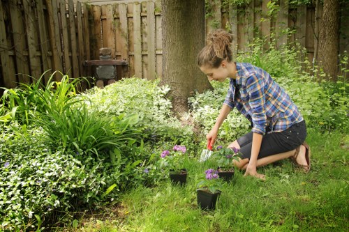 Professional gardeners in Golders Green working on a lawn