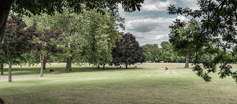 A spacious park scene featuring a well-maintained grassy lawn bordered by a variety of mature trees, including broad-leaved species with green and dark purple foliage. The lawn has areas of neatly cut